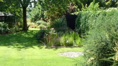 The back garden The back garden
