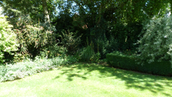 The back garden The back garden